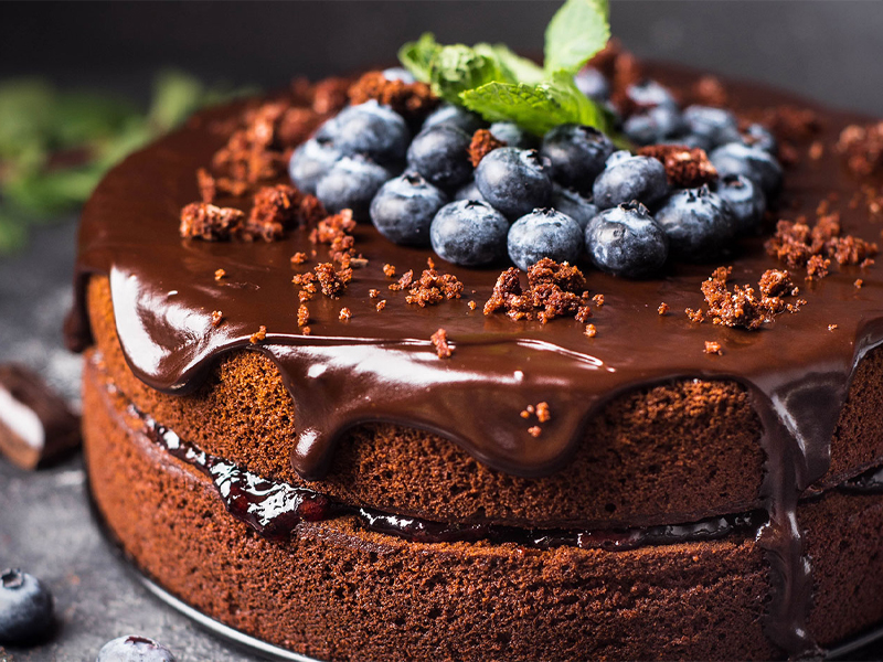 chocolate cake topped with blueberries