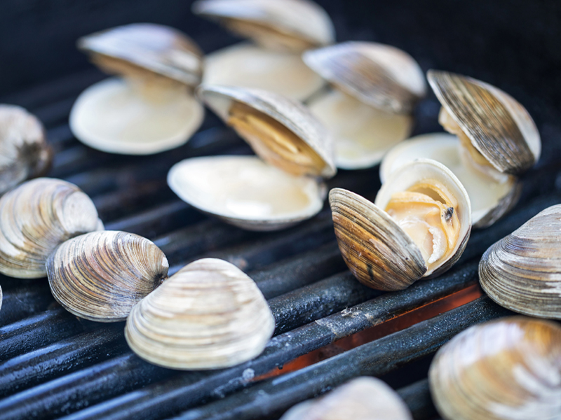 clams on a grill