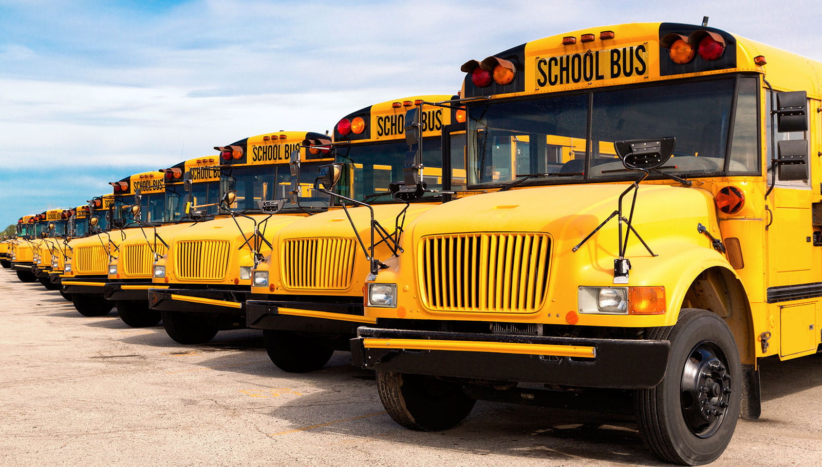 A row of school buses.