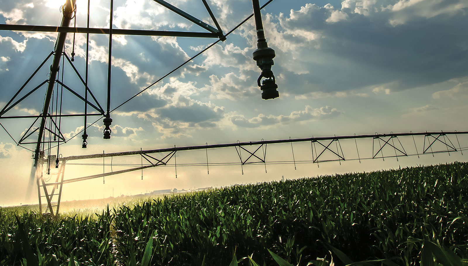 Center pivot irrigation equipment in use.