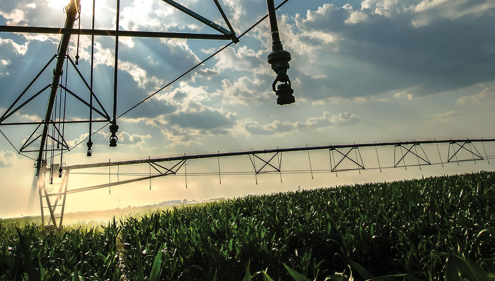 Center pivot irrigation equipment in use.