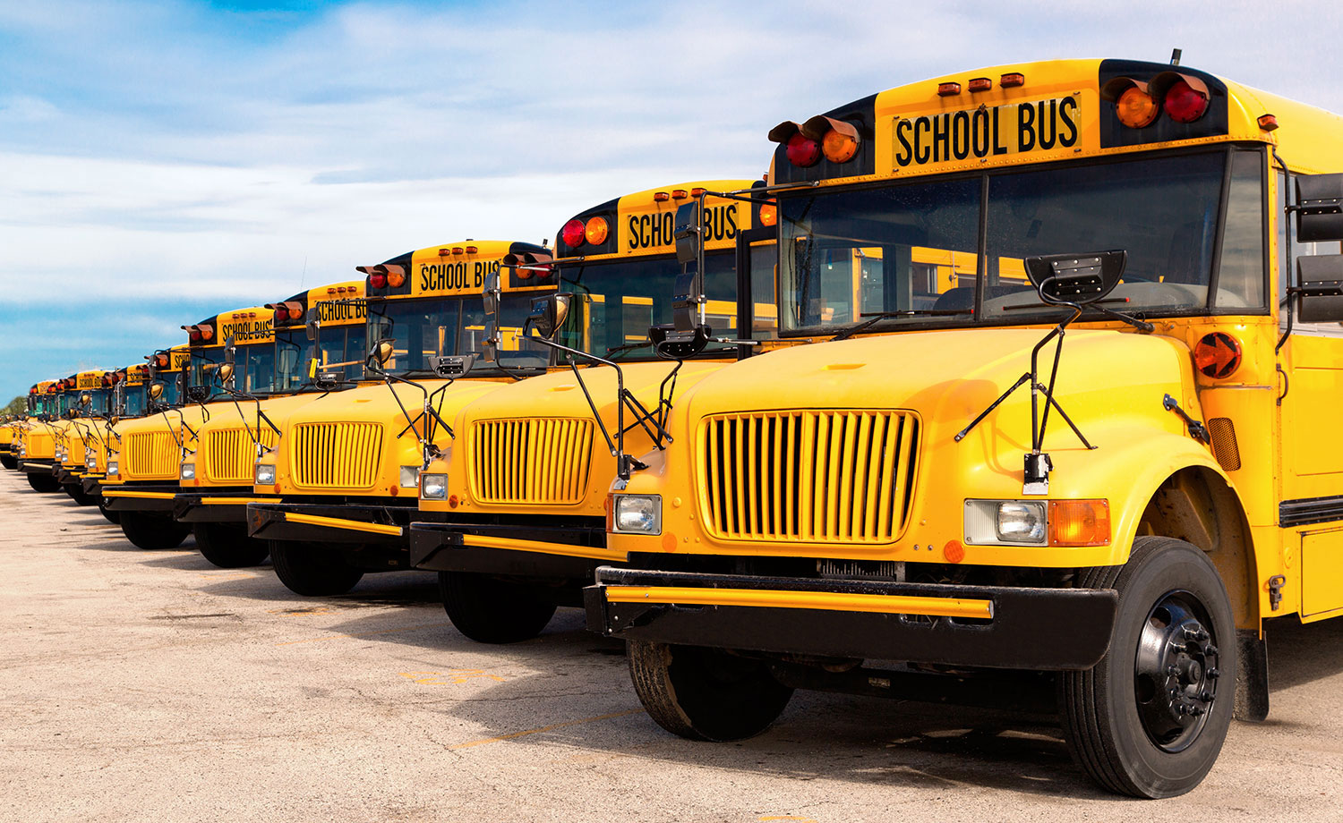 A row of school buses.