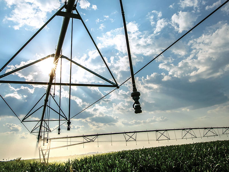 Center pivot irrigation equipment in use.